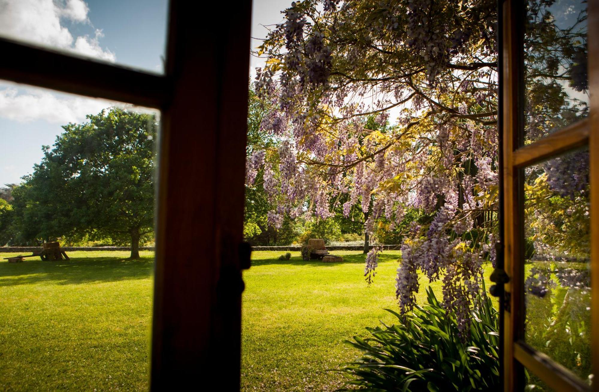 Pazo Da Touza Guest House Nigrán Екстериор снимка